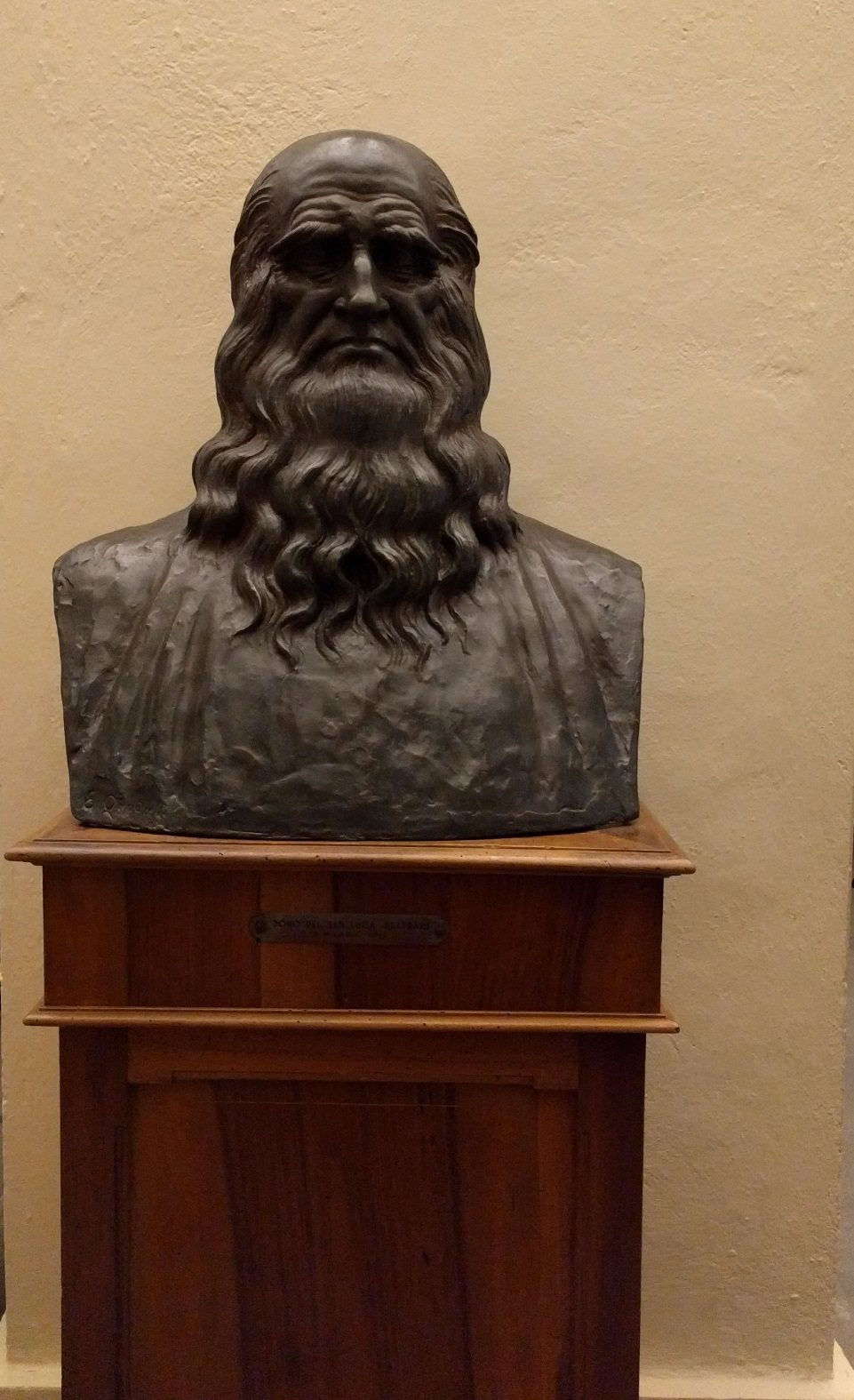Leonardo da Vinci's busts (2).jpg